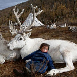Child & Carribou