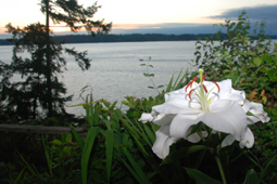 M.H. Evans Photo